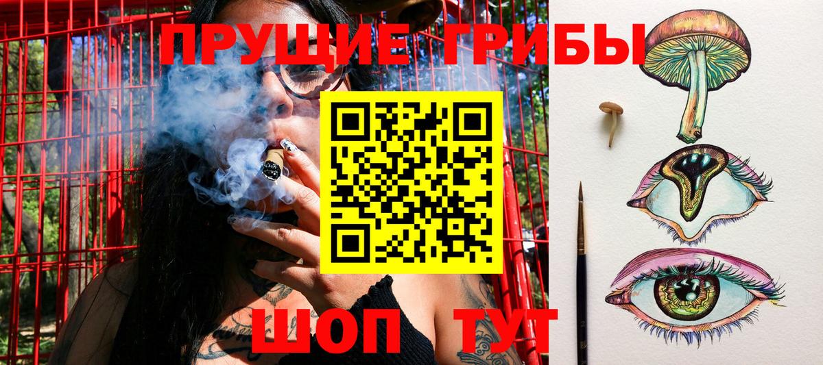 Псилоцибиновые грибы GOLDEN TEACHER  Вход с VPN  купить наркоту  Псилоцибиновые грибы Cubensis  Нефтекамск 